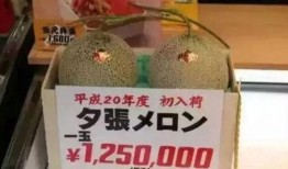 娱乐吃瓜酱玉玺,娱乐吃瓜酱揭秘神秘玉玺背后的故事