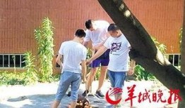 汕头记者爆料新闻最新,最新民生热点事件追踪