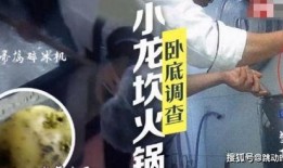 小龙被爆料视频在线观看,揭秘背后真相，网络热议不断